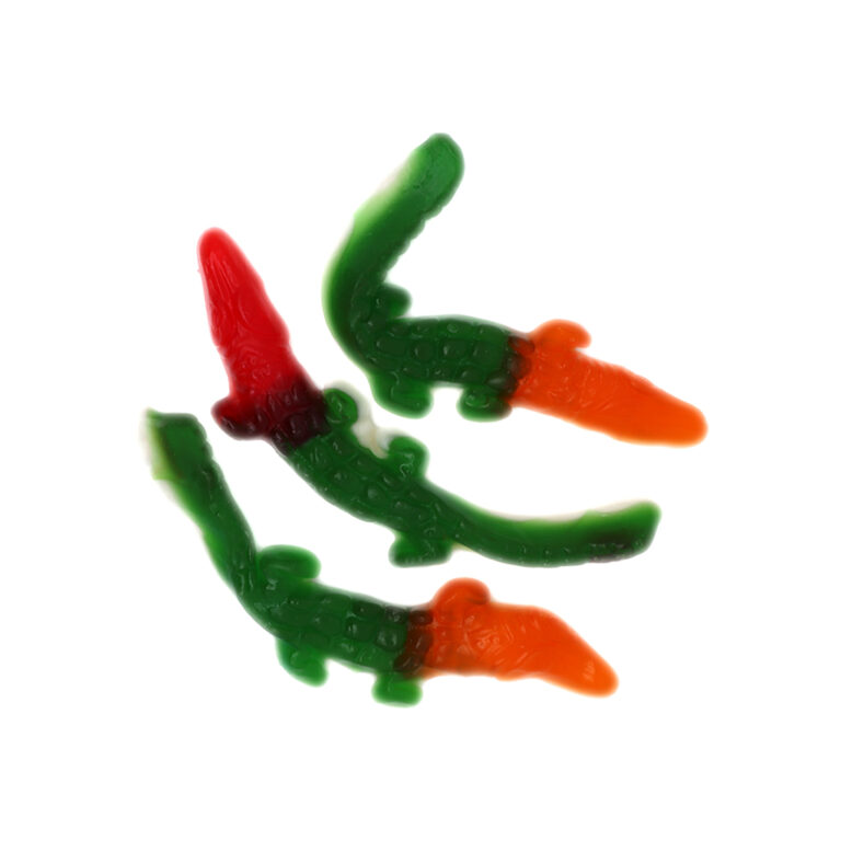 Vidal 4.4# Gummy Crocodiles – Casani Candy Co.