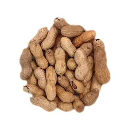 50# Salted Jumbo Peanuts In Shell