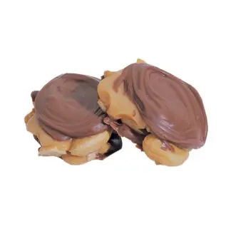 Ashers 4# Milk Cashew Paw