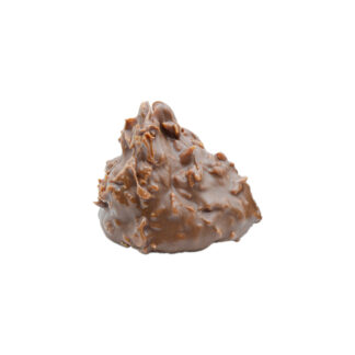 L01 008